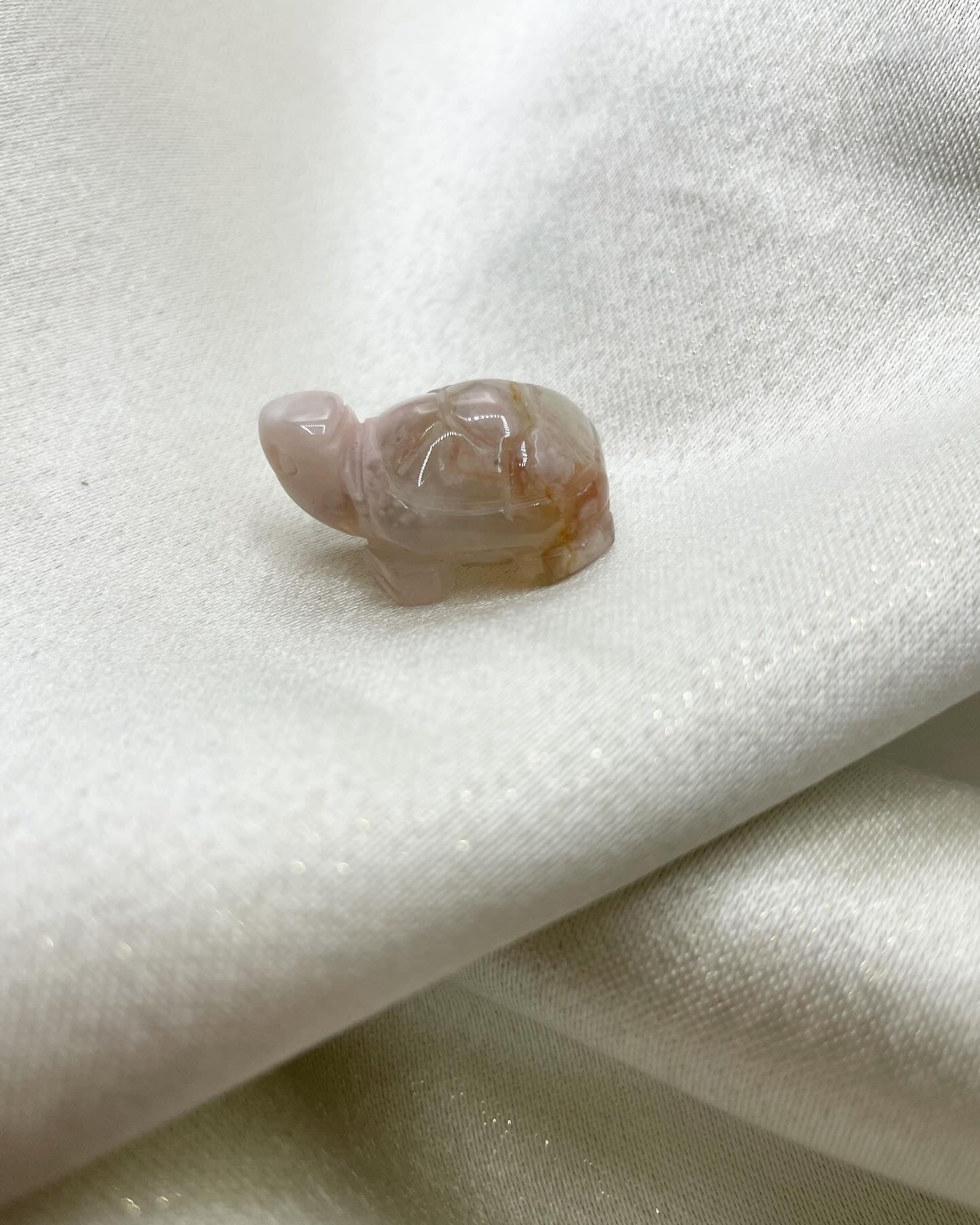 Tartaruga Agata Sakura