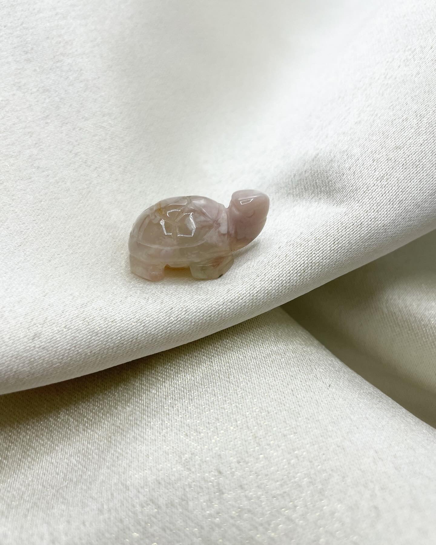 Tartaruga Agata Sakura