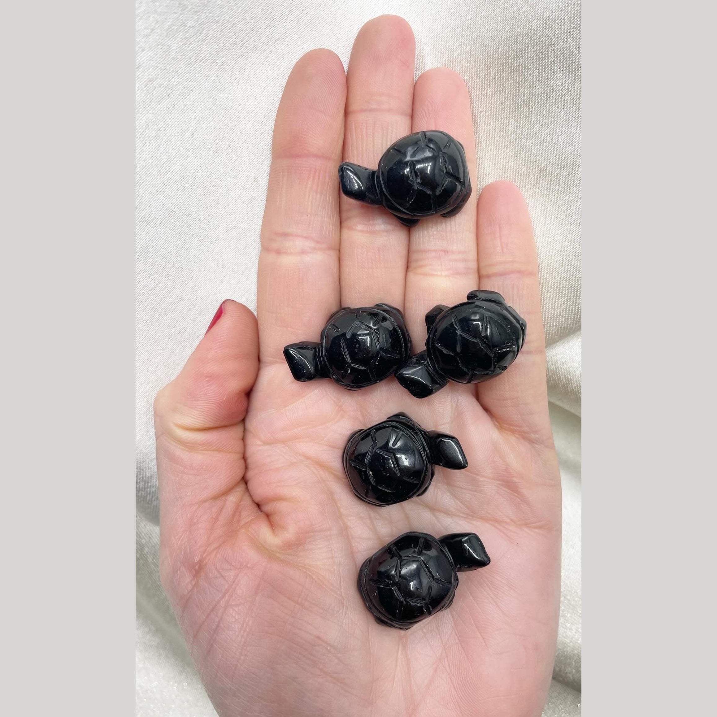 Tartaruga di Tormalina