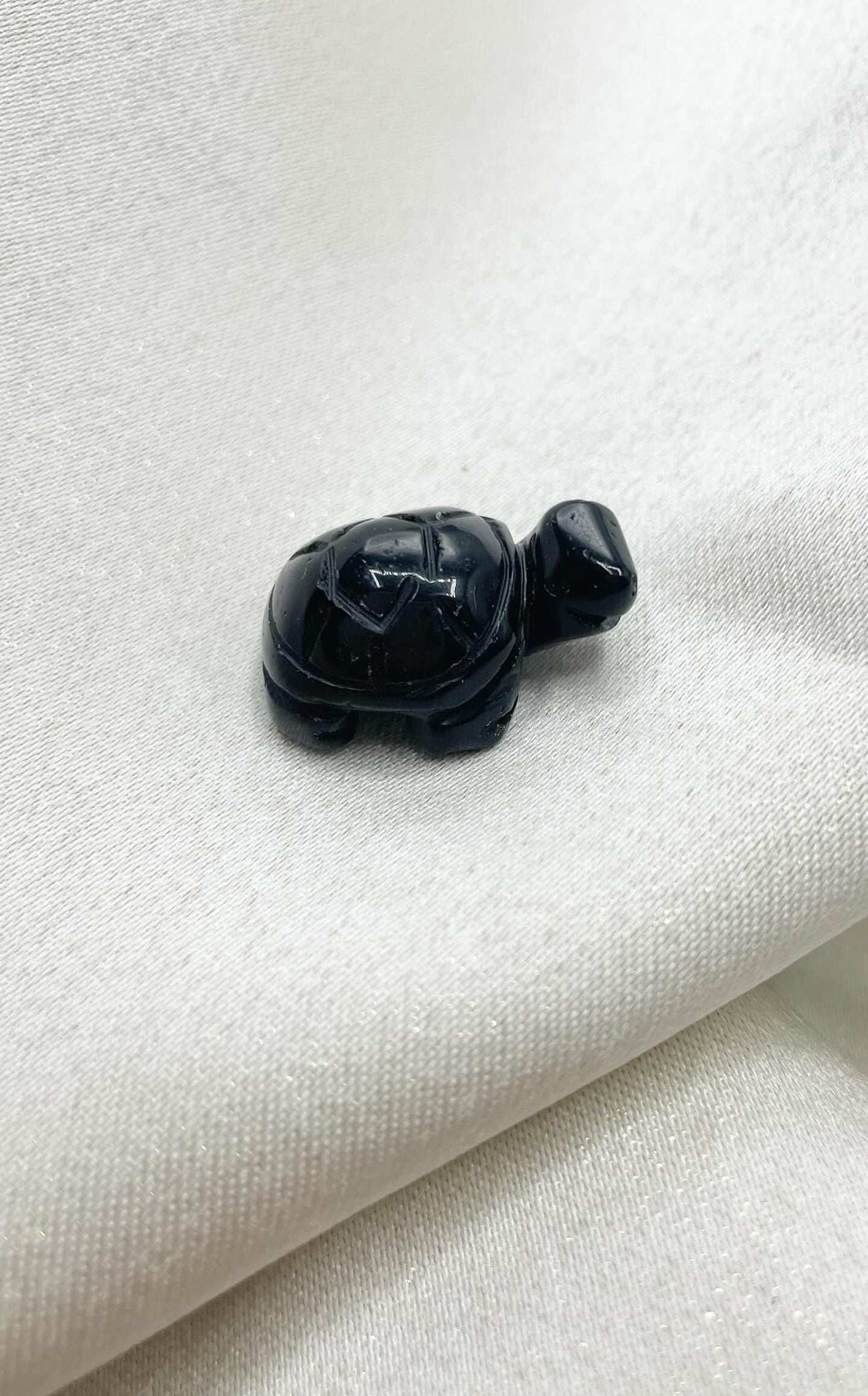 Tartaruga di Tormalina