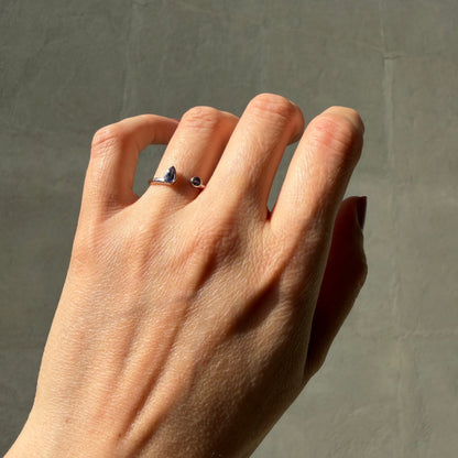 Anello Double Tanzanite - Argento 925