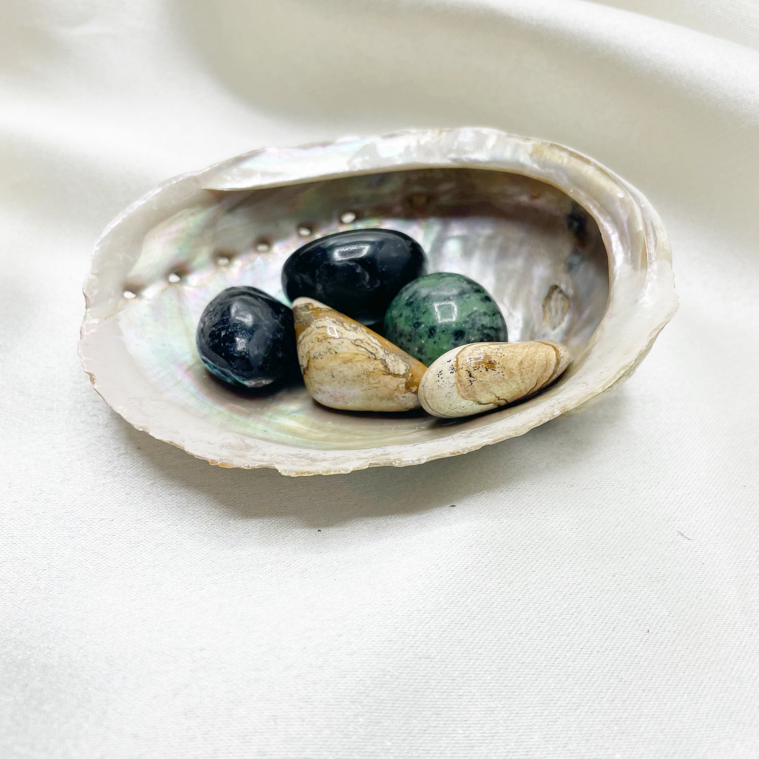 Conchiglia di Abalone