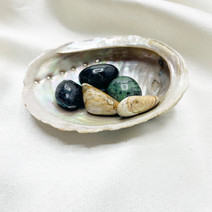 Conchiglia di Abalone