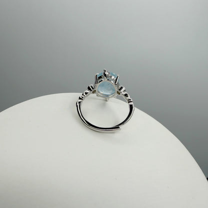 Anello Princess Acquamarina e Argento 925