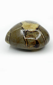 Cuore di Septaria grande