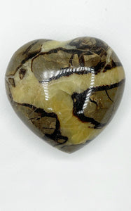 Cuore di Septaria grande