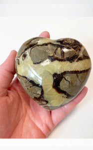 Cuore di Septaria grande