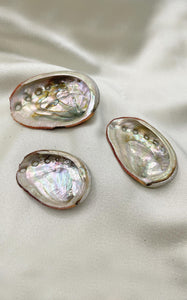 Conchiglia di Abalone