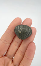 Carica l&#39;immagine nel visualizzatore di Gallery, Conchiglia Pirite (Ricchezza)

