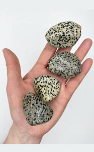 Pietra di Diaspro Dalmata burattata