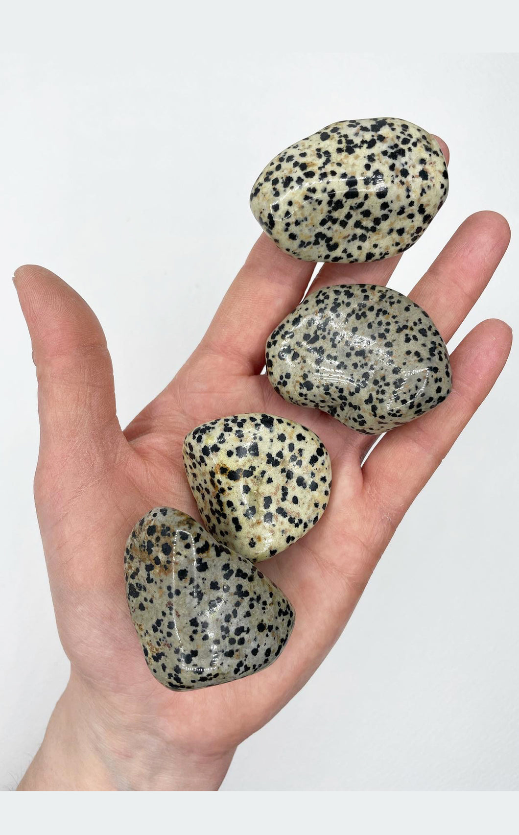 Pietra di Diaspro Dalmata burattata