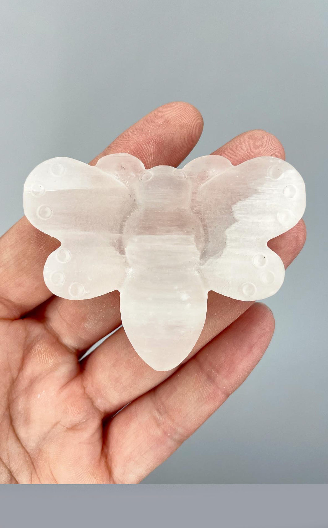 Farfalla di Selenite