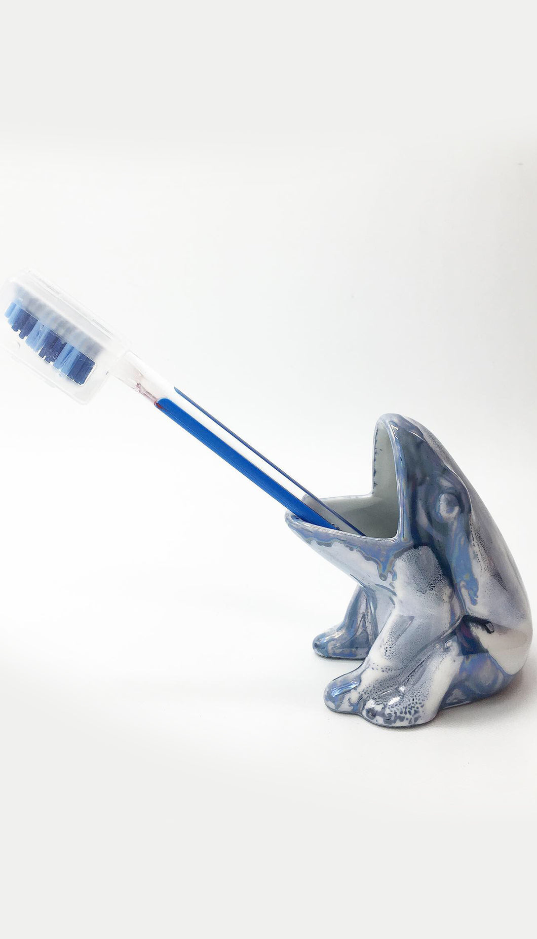 Rana porta spazzolino azzurra
