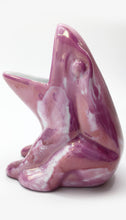 Carica l&#39;immagine nel visualizzatore di Gallery, Rana Porta spazzolino rosa
