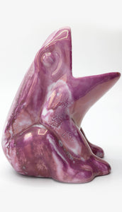Rana Porta spazzolino rosa