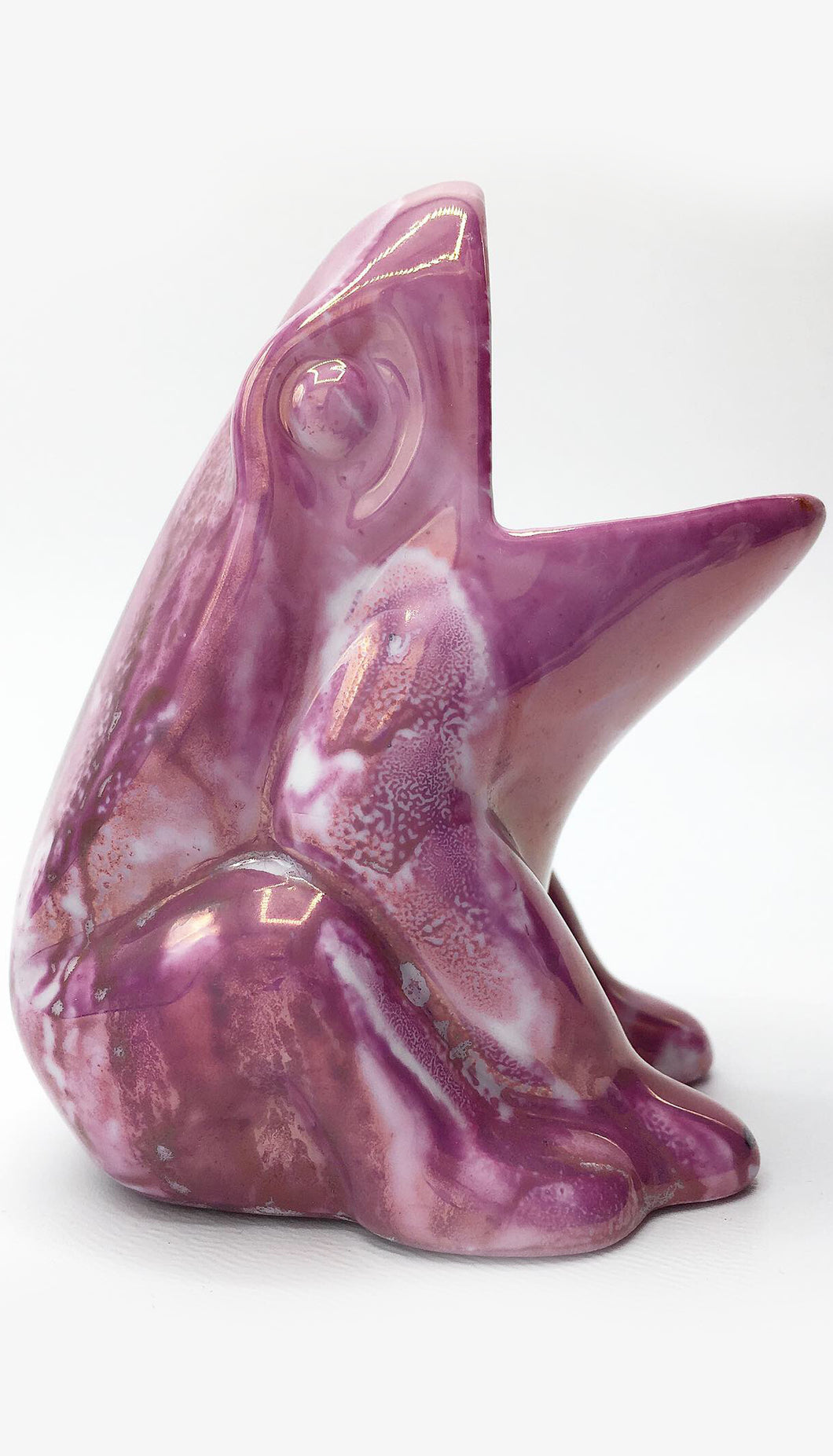 Rana Porta spazzolino rosa