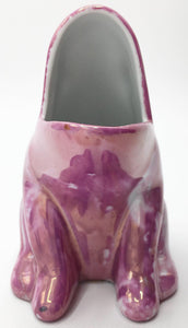 Rana Porta spazzolino rosa
