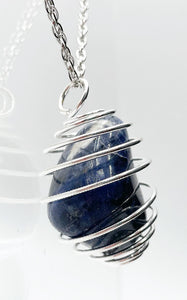 Sodalite (Pesci)